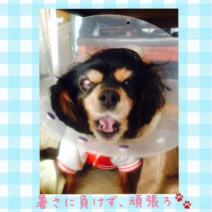 1beec5e5 6025 45e3 b32c d2f33545b522