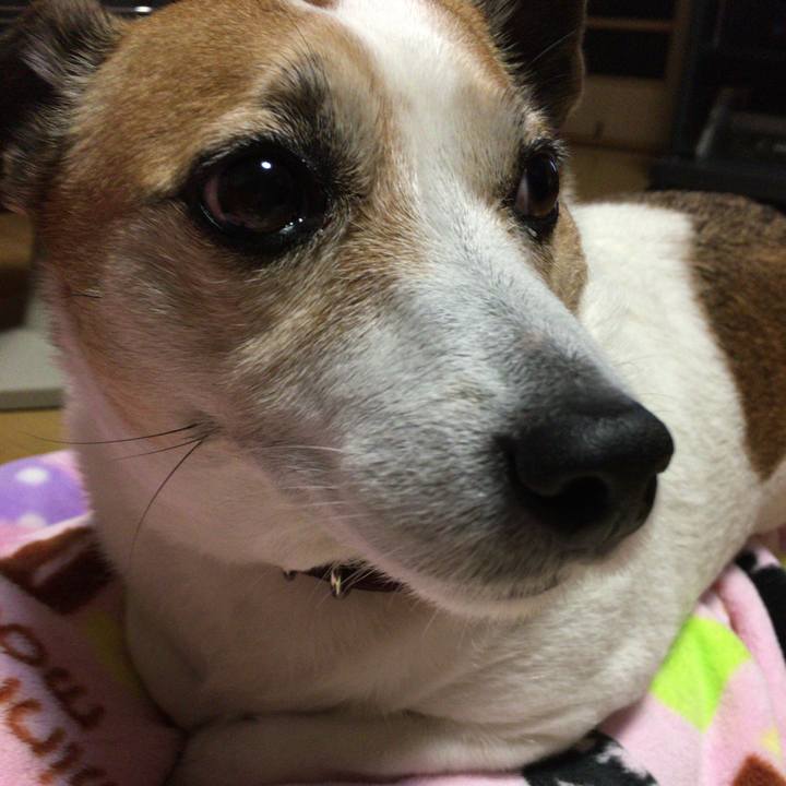 1beed015 432d 4d84 a57b d8e8d2b7819b