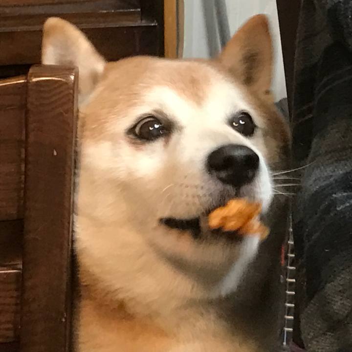 1bef6147 8ccd 4ed1 a0c1 aa8730a72df3