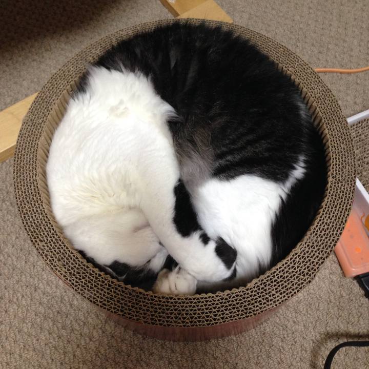 1befccc6 ff28 44cf 943e b6a7955b101c