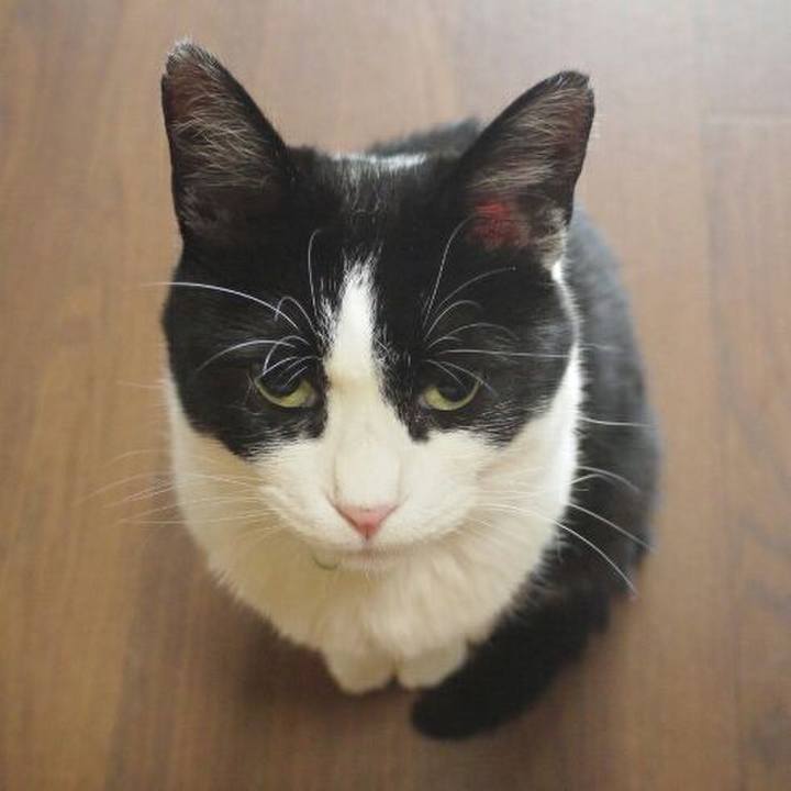 1beffa60 2f93 4efa a1e9 686ae5b6a334