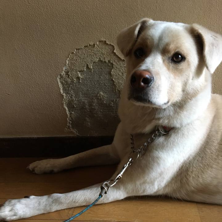 1bf03e49 f11b 432e a6ce cfbb20363a45