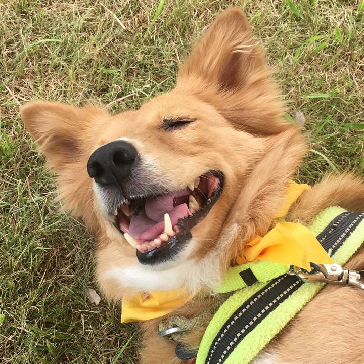 1bf0df52 b240 40f5 81f9 11ae089e1bb7