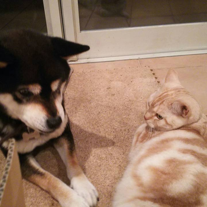 1bf0e274 06a7 40d6 af1f 20f767b0bec1