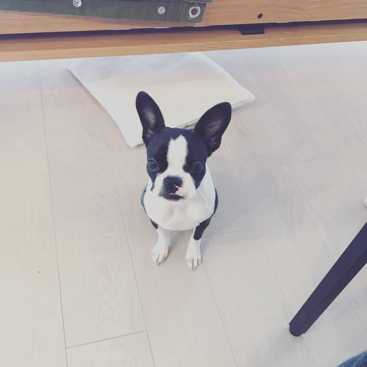 1bf119a7 624d 4f54 8ec3 8f7754f368cd