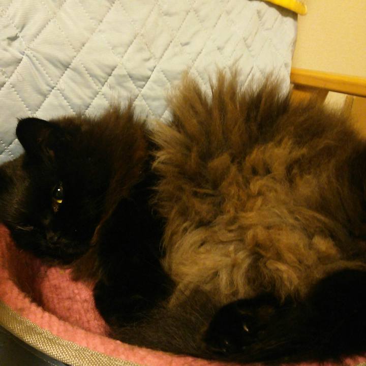 1bf21d0c 3ba5 4a0d 8ca5 653dc8d6339d