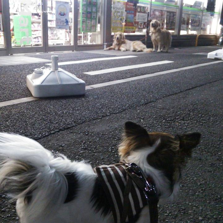 1bf254e6 a777 45d2 81cd b15d89b941de