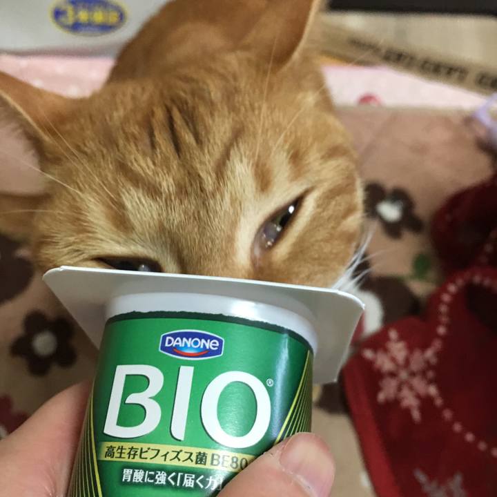 1bf29a40 5398 4124 a7f4 26d778147082