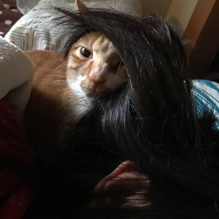 1bf3a0d0 7ffe 4765 bfbf 488f31eca48c