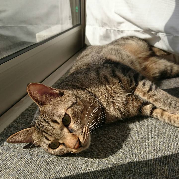 1bf3a654 ca35 43b9 80a8 bb8b1e6a8e95