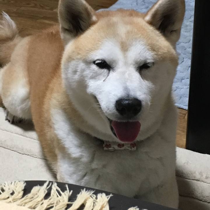 1bf42568 f0da 4d44 bf9d 76c726572ee3