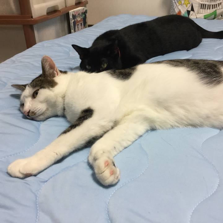 1bf4302f dbec 4df7 b146 2b289aa86e28