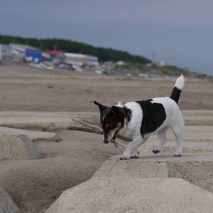 1bf4eaff 690d 4ec6 8898 ce3e79392814