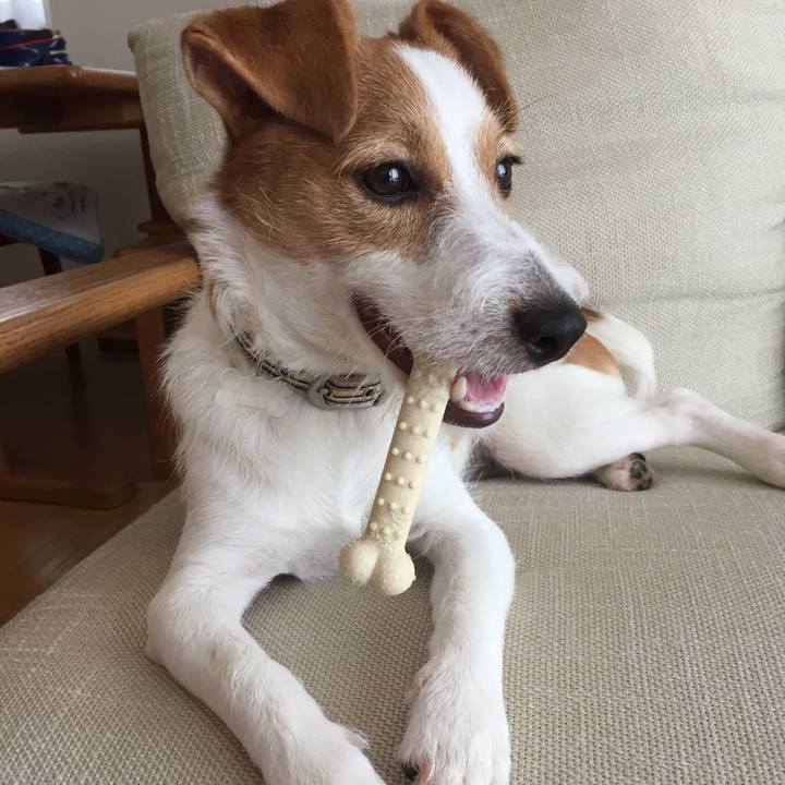 1bf5adb1 8605 444e 88e8 810204f31bc1