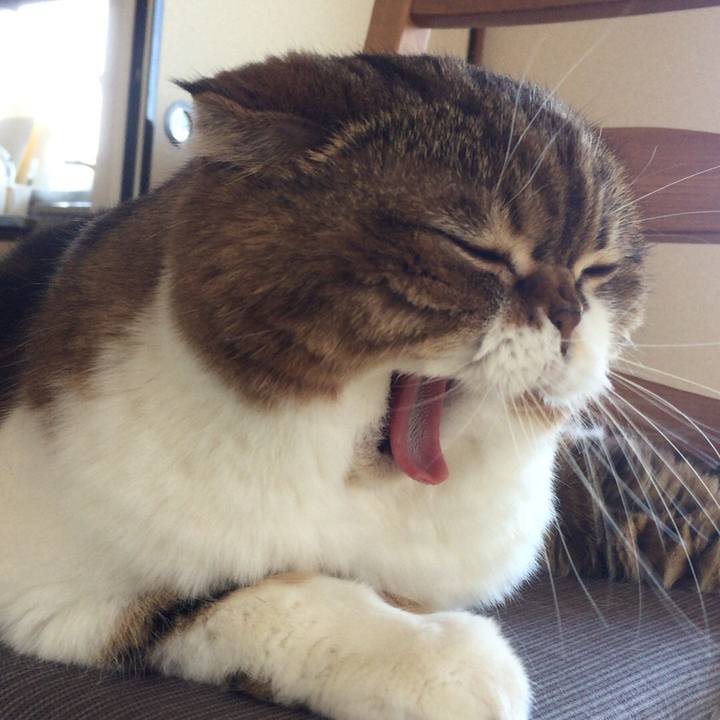 1bf5be31 25d2 4cea a051 044c8a8c5830