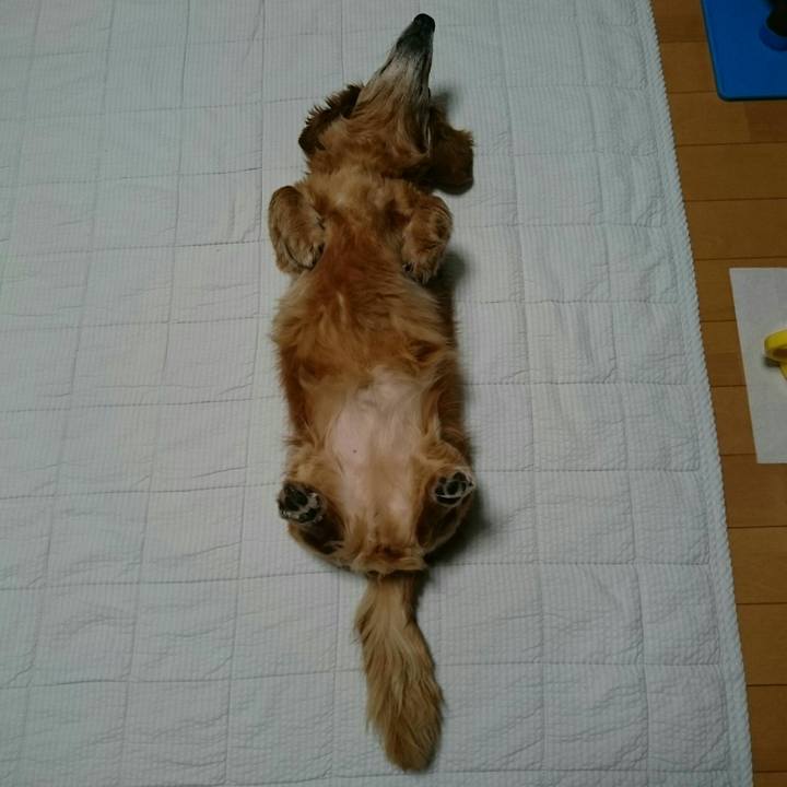 1bf5c874 579d 4fa8 9891 fa73418b41c4