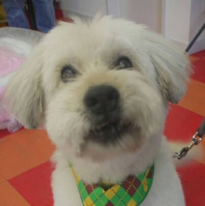 1bf650e0 d9e5 43ab 936d 0a0e5e3a8a7d