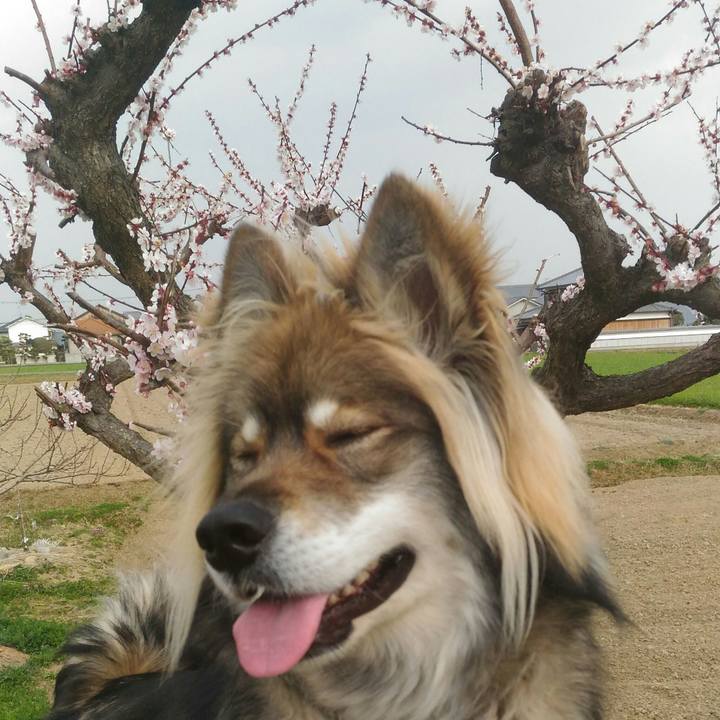 1bf6aa7b d516 4fa1 baa4 5fa0d2613cb5