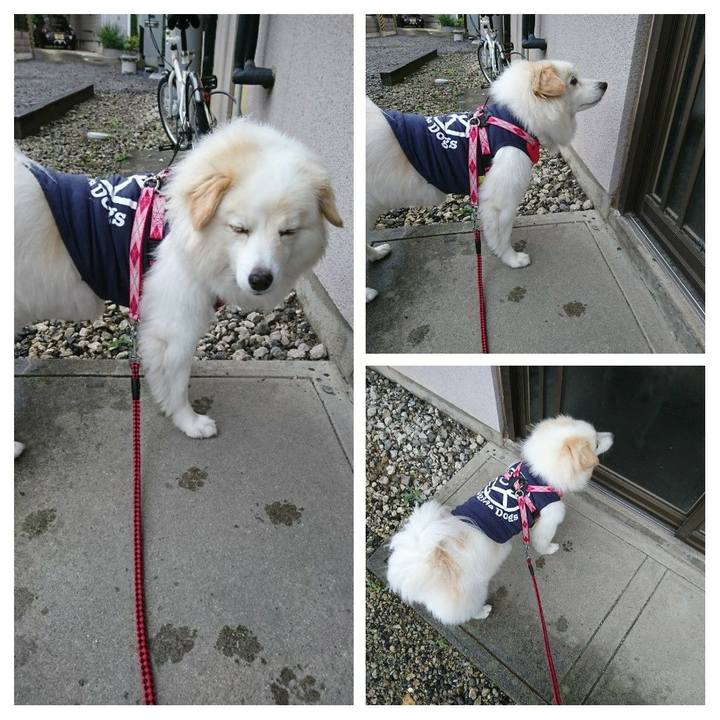 1bf72104 0981 4ca2 a728 17fff1237f20