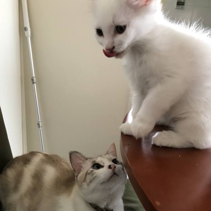 1bf74d2d 769a 46c1 b581 927efbc0816d