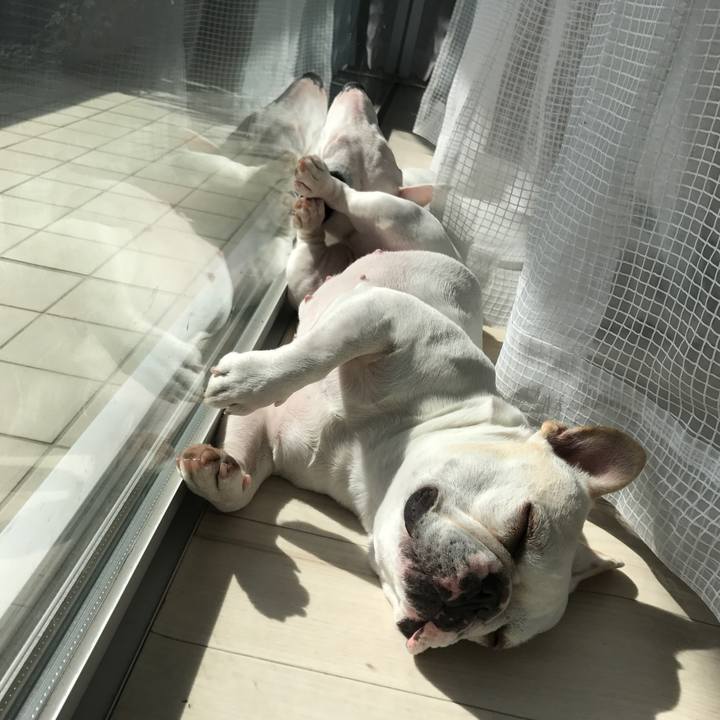 1bf83670 6edf 4b8d 929c 5cec986ed9e2