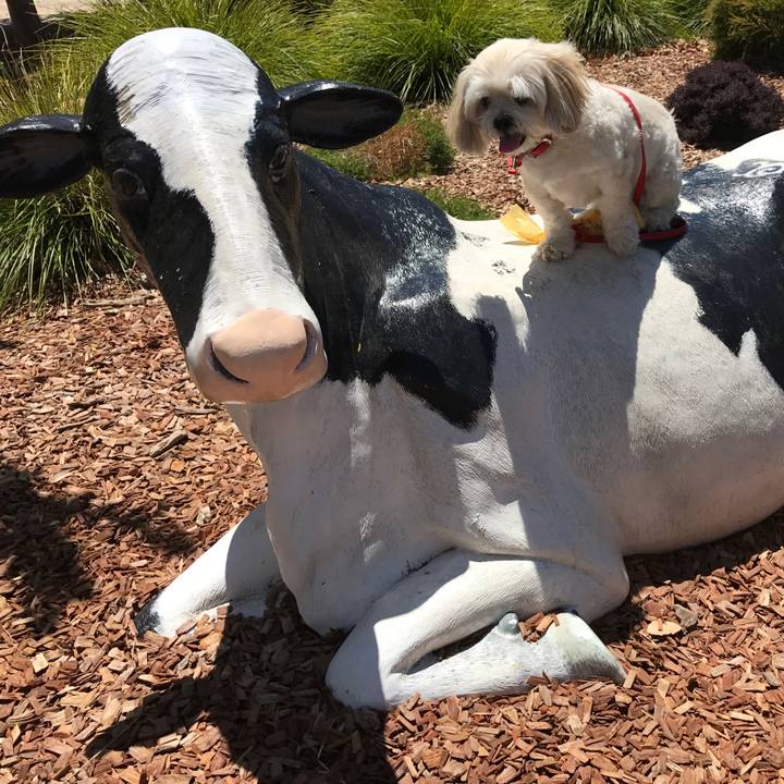 1bf8759d 78c3 4290 b161 a71d5ce27715