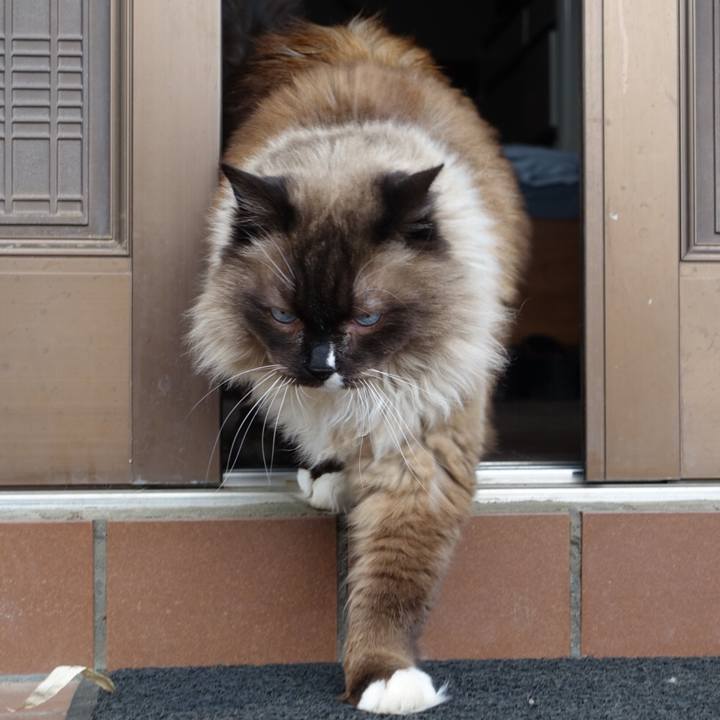 1bf8f4c1 3685 4759 8da7 3ec28d465dea