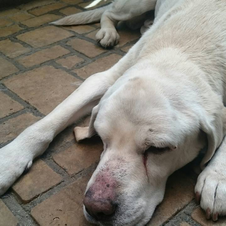 1bf8fb69 ee1d 4492 b30f 1ba46a3b36ca