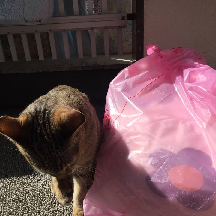 1bfa8708 b7cc 453d b56b 9f04a1a16c14