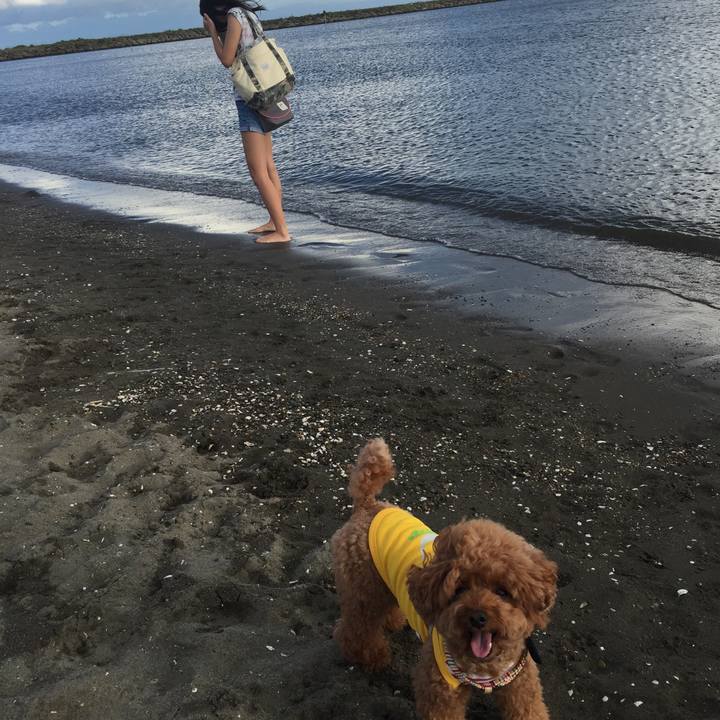 1bfa9425 afdd 452c a162 413451ee70c1