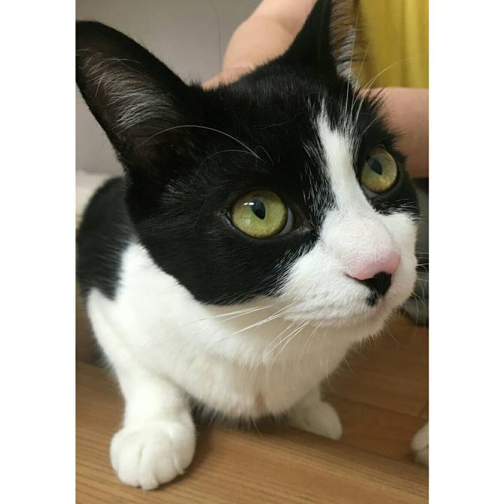 1bfba7c8 8f35 4eaf b675 94cdd8e153f0