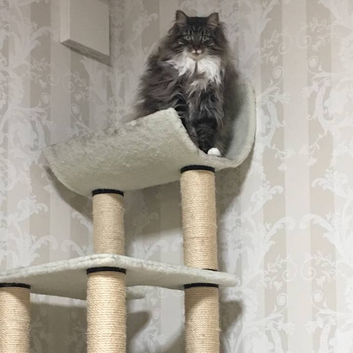 1bfbe3e0 8d49 4bd1 815e 3d5ad4da0105