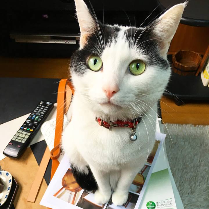 1bfc3ebb 8820 4ddf a88d 7e761dd758a1