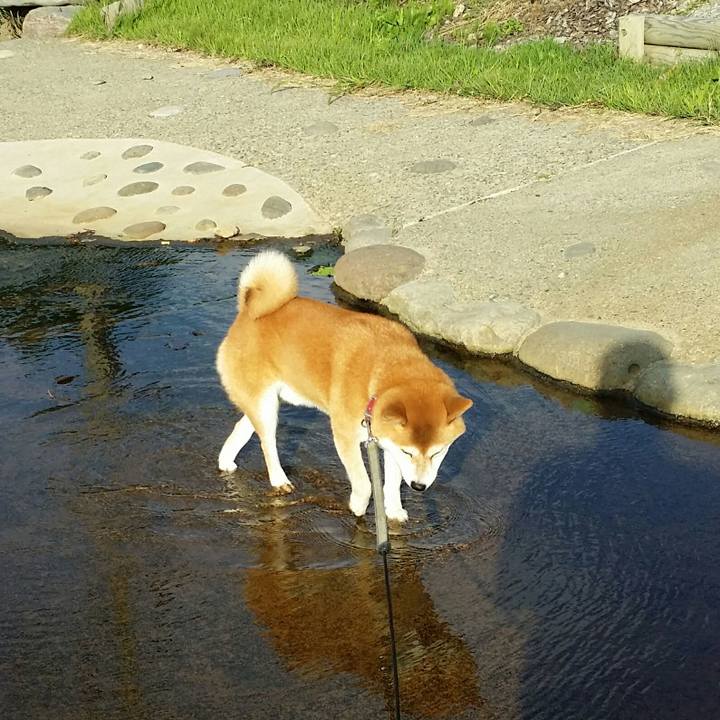 1bfc6d26 e696 438b 8b1d 94977e1d2545