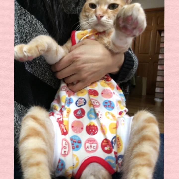 1bfc787f a80d 462a 94fa 2e85ff0d32e3