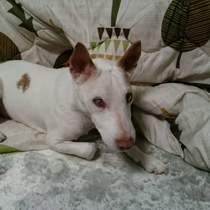 1bfcf0a2 5731 4366 a59c e4e46f3bc7da