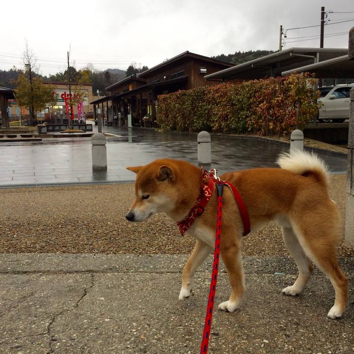 1bfdd04d 1178 4fd9 9a33 057c05984668