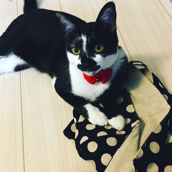 1bfe6d35 d264 46ce 94fa ba211522d7e7