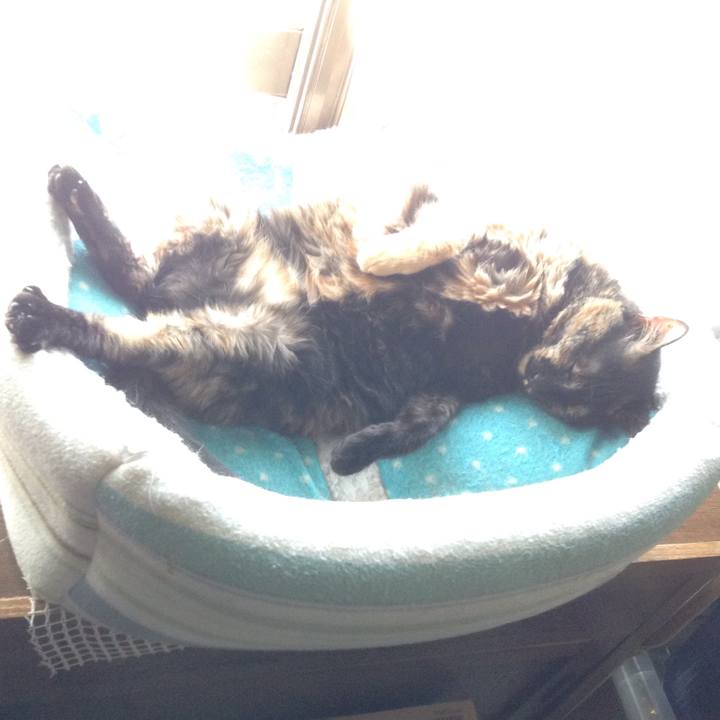 1bfec55d a0d4 406c 8480 37fa983f9eac