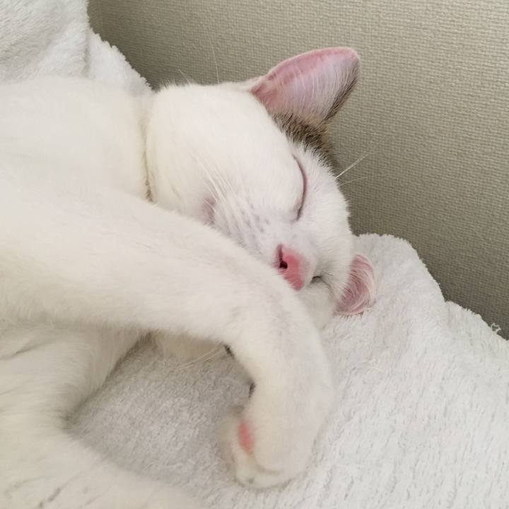 1bff1604 b31b 4bc5 a458 eee2e266288e