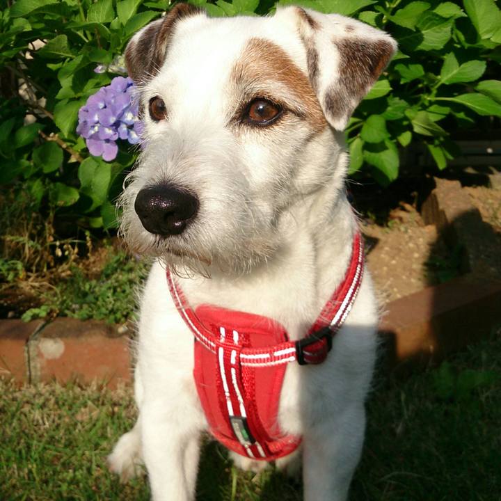 1bff6aa0 3fd9 4ede 99d9 2e661932a50c