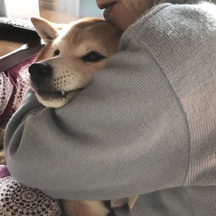 1bff6d16 bed6 48e3 ad59 abbda126cb60