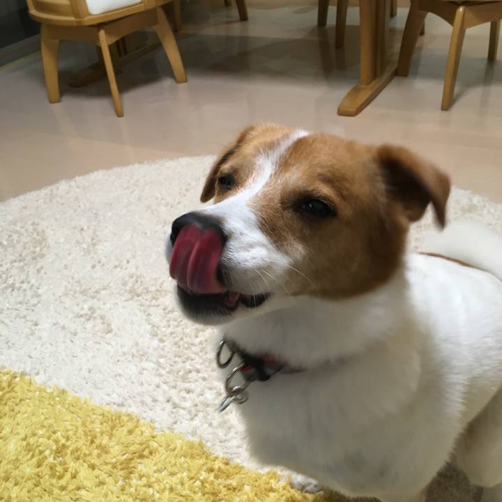 1bff754f 816b 476f 9334 d57b5cdc7d77