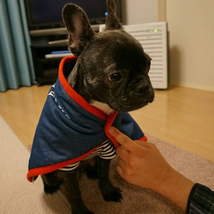 1bfff0a1 a05b 4219 84b3 75c6673f14cd