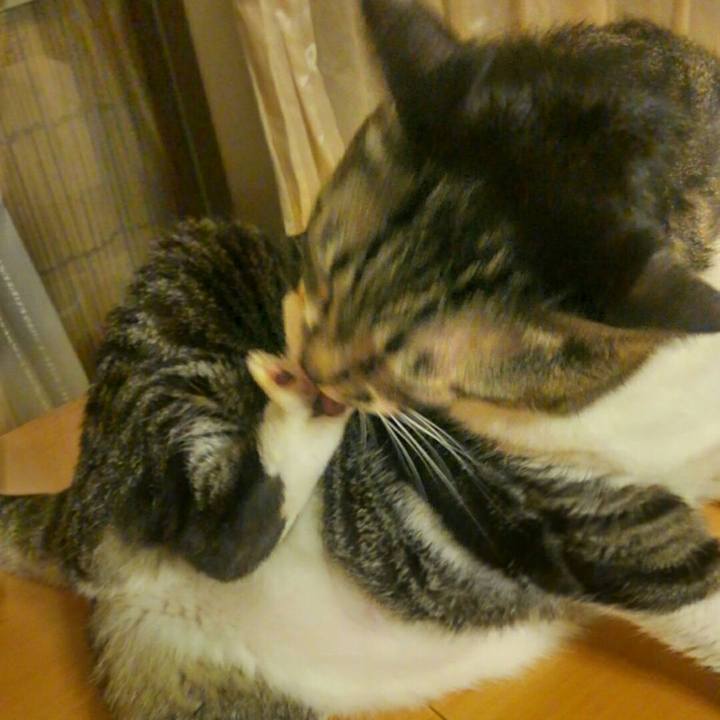 1c0047ff 0135 4e10 b52c cb8385c18697