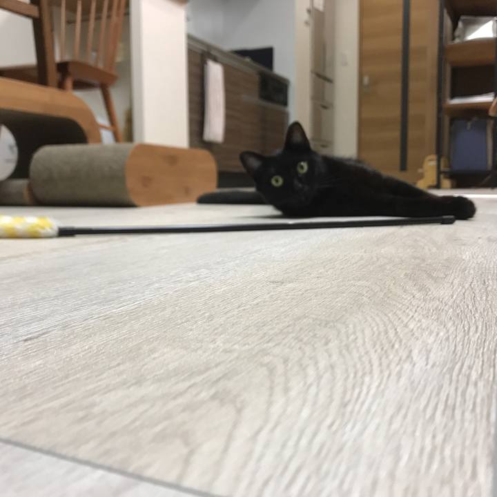 1c014d71 b816 4751 ad9a 6711383f8f05