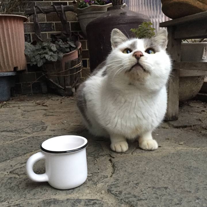 1c01f12f 1d3d 464d 9a26 a042bf065cee