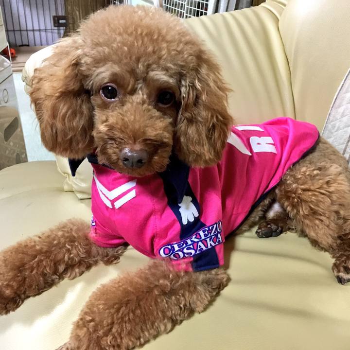 1c027a90 1620 433d b72a 62b956a686b0