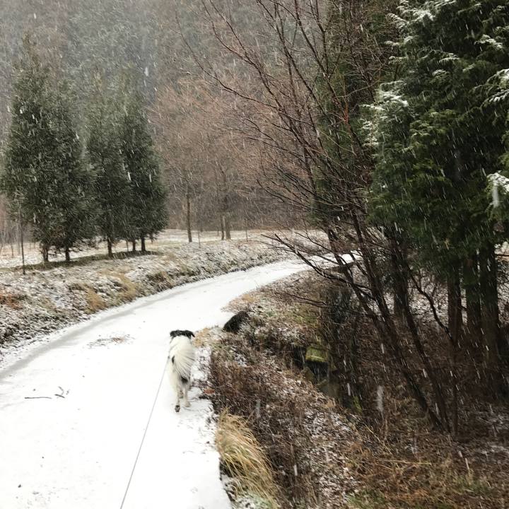 1c02efdf a9f1 4400 9947 68f46ca608fd