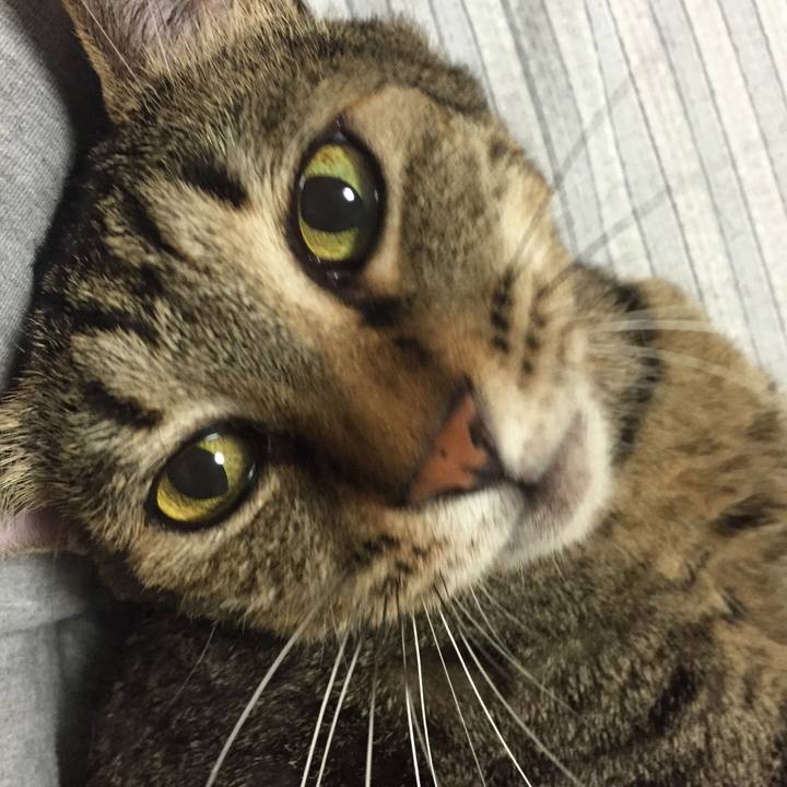 1c02f55f 2c34 4370 be5c 9575dc83441c